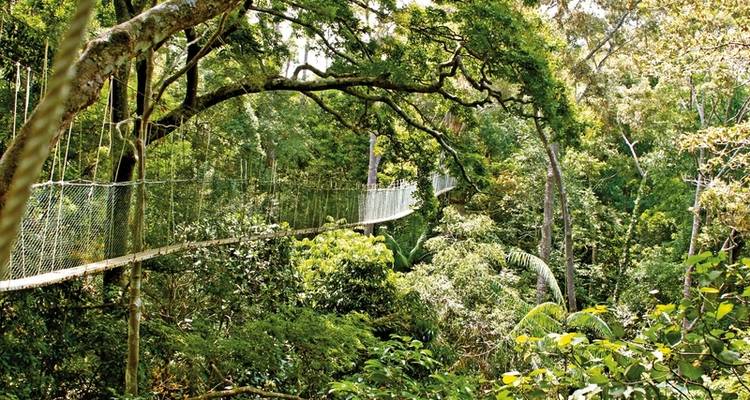Taman Negara (3 nights) - DERTOUR 3