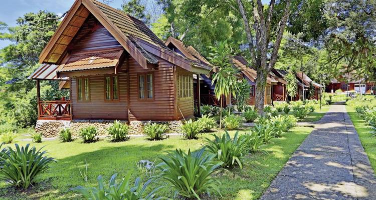 Row of wooden cabins surrounded by greenery.