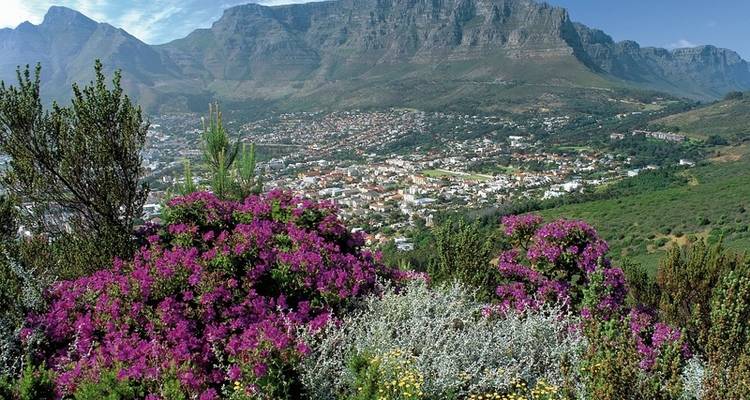 Ruta multifacética por los jardines - visita privada - DERTOUR 10