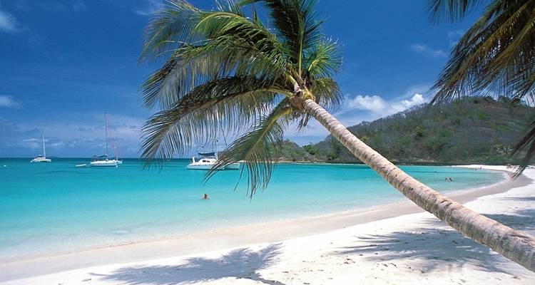 Maravillas naturales del Caribe - DERTOUR 7