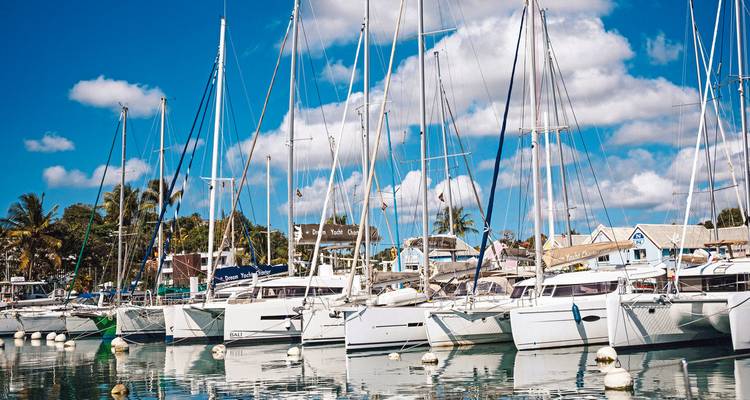 Zeilboten aangemeerd in een jachthaven met palmbomen and blauwe lucht.