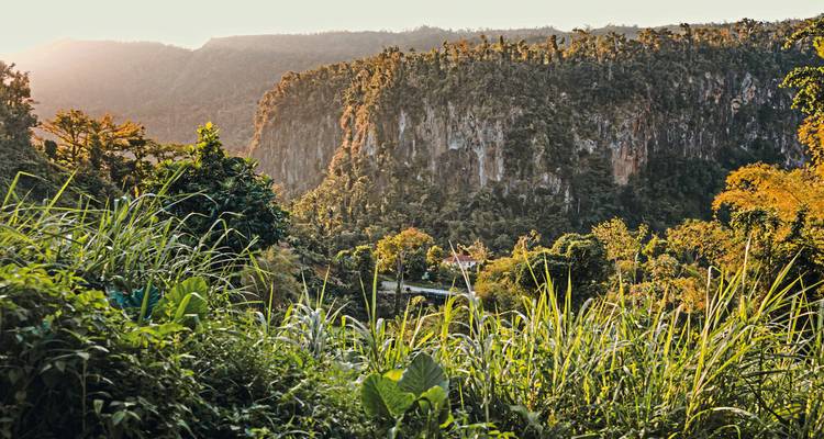 Een landschap met weelderig groen en rotsachtige klitformaties.