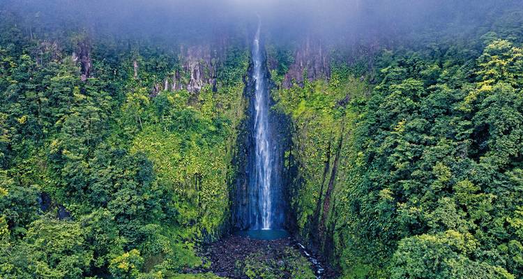 Een hoge waterval omringd door dicht groen bos.