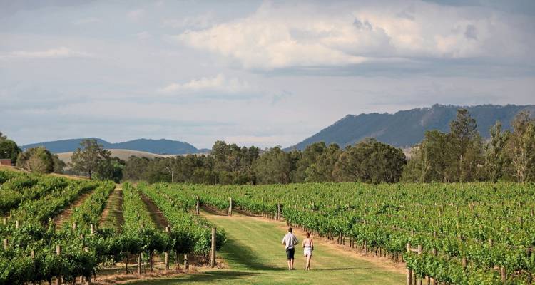 Deux personnes marchant dans un vignoble sous un ciel nuageux