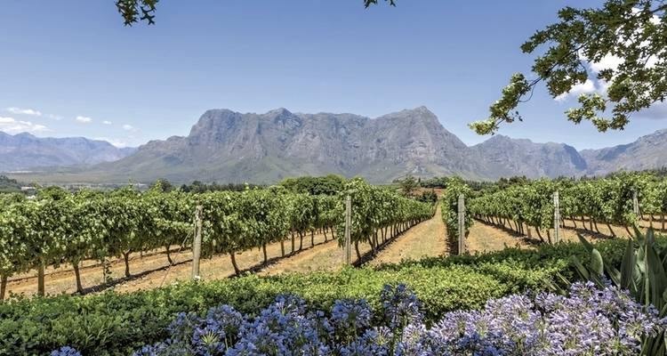 South Africa to stay (Cape Town-Johannesburg) - DERTOUR 1