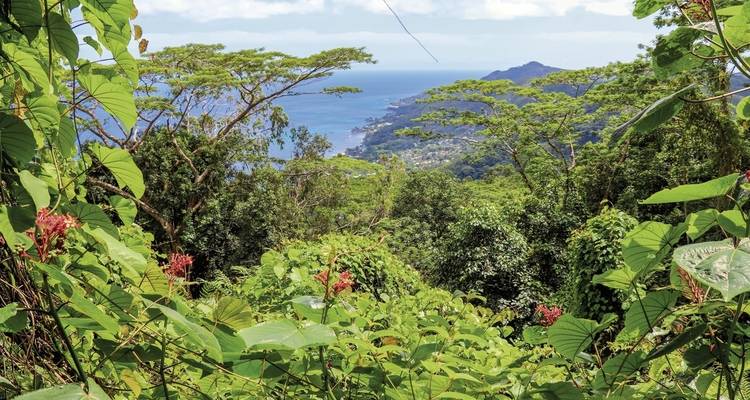 Island Hopping Seychelles (Hotels: upper middle class, private flight and boat transfers, 8 nights) - DERTOUR 8