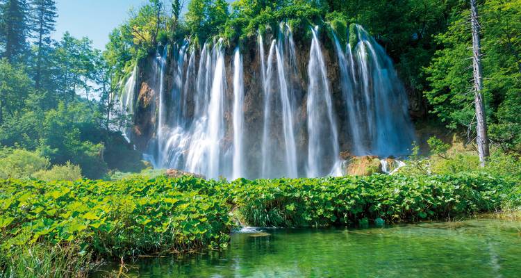 A magnificent waterfall surrounded by lush green vegetation.