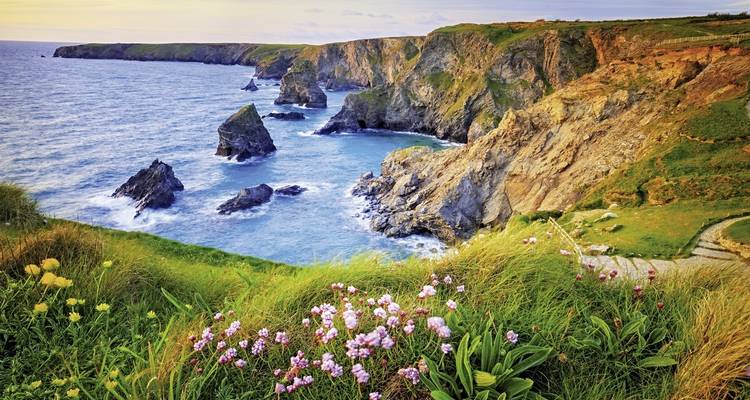 Coastal cliffs with wildflowers overlooking the ocean.