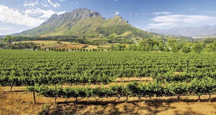 Le meilleur de l'Afrique du Sud de Johannesburg au Cap - DERTOUR 5