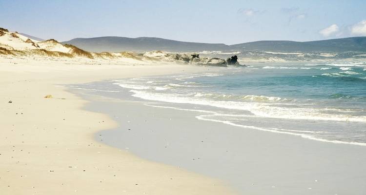 Best of South Africa from Johannesburg to Cape Town - DERTOUR 8