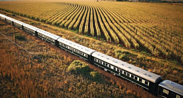 Tren de lujo viajando a través de campos agrícolas.