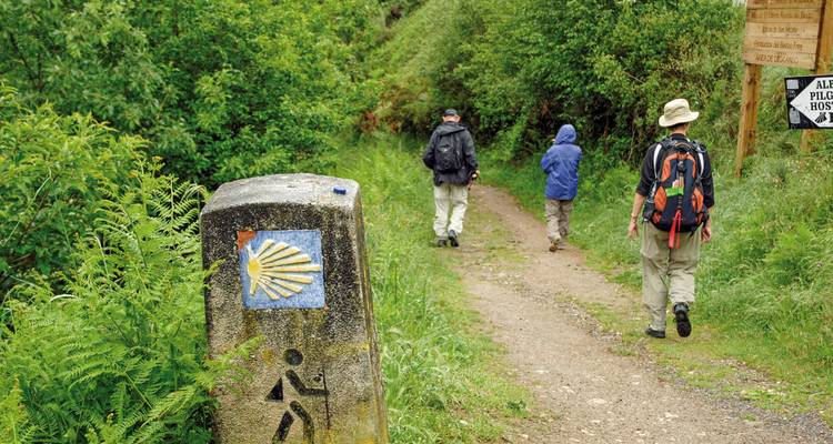 Des randonneurs marchant sur un sentier marqué d'un symbole de coquillage.