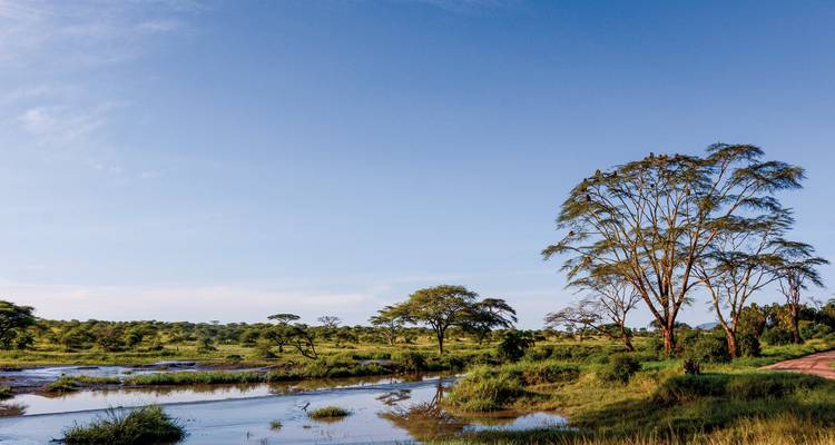 Paysage serein avec des arbres et de l'eau sous un ciel dégagé.