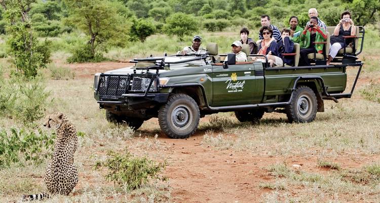 Safariwagen die een zittende jachtluipaard observeert.
