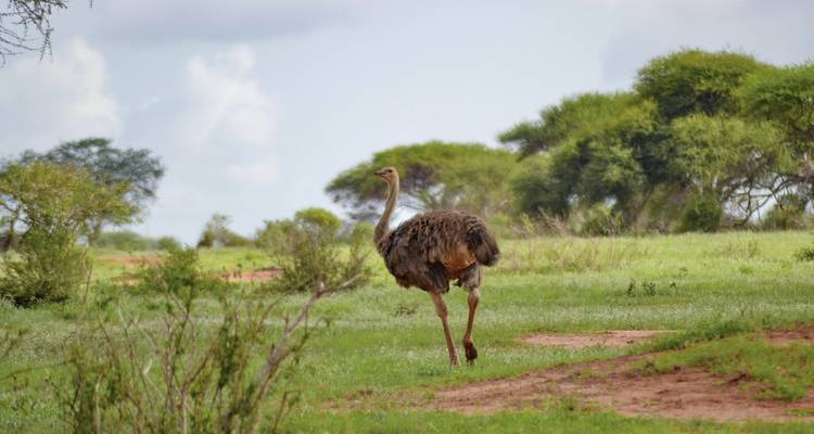 Aventura Kenia (viaje privado) - DERTOUR 10