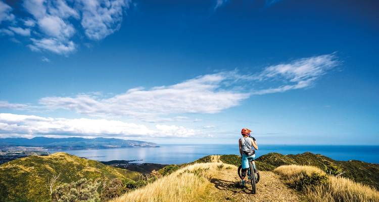 Vive Nueva Zelanda conscientemente (from Christchurch to Auckland) - DERTOUR 6