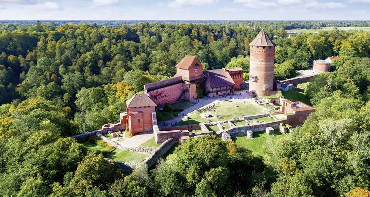 Luftaufnahme einer historischen Burg, umgeben von dichtem Wald.