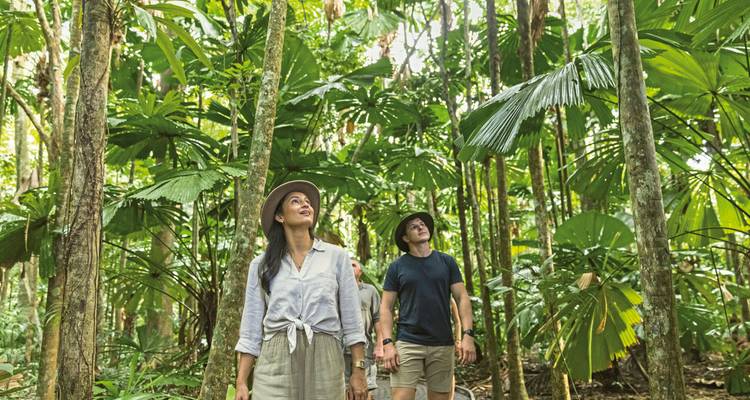 Deux personnes explorant une forêt tropicale luxuriante.
