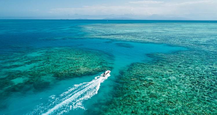 Bateau filant au-dessus d'un récif de corail vibrant.