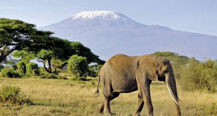 Tsavo y Amboseli - DERTOUR 5