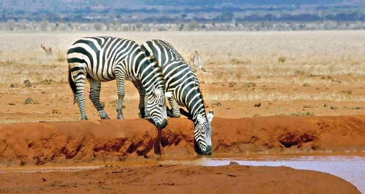 Tsavo y Amboseli - DERTOUR 3
