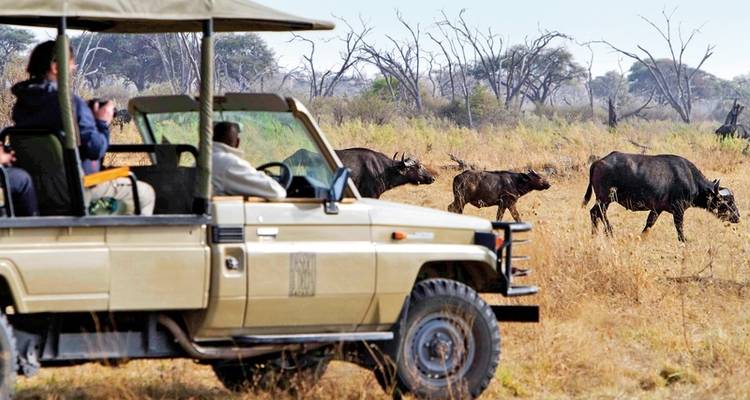 El latido de África (8 noches desde Maun) - DERTOUR 5
