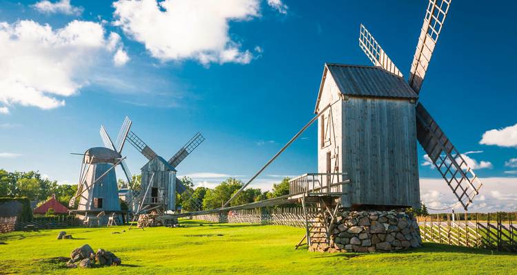 Schilderachtig uitzicht op windmolens in een grazig veld.