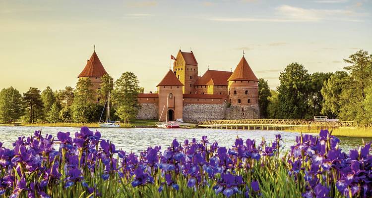 Kasteel omringd door water met paarse bloemen op de voorgrond.