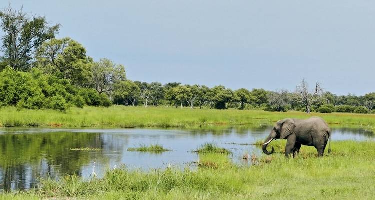 At the pulse of nature - DERTOUR 1