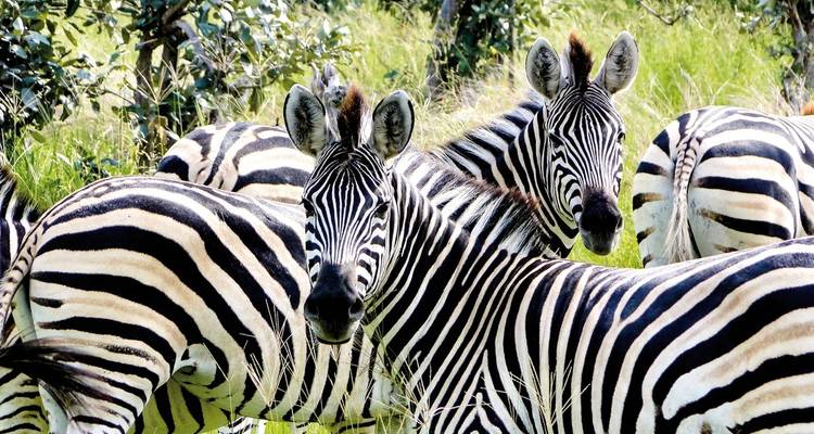 Drifters - Botswana Explorer Maun-Victoria Falls - DERTOUR 7