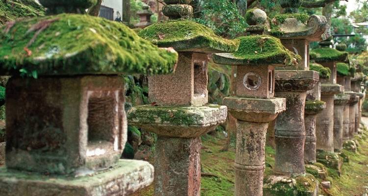 Japan for Individualists (land program only) - DERTOUR 1
