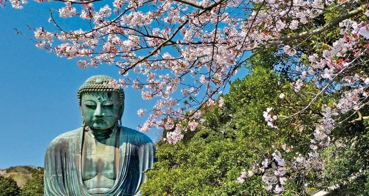 Japan for Individualists (land program only) - DERTOUR 6