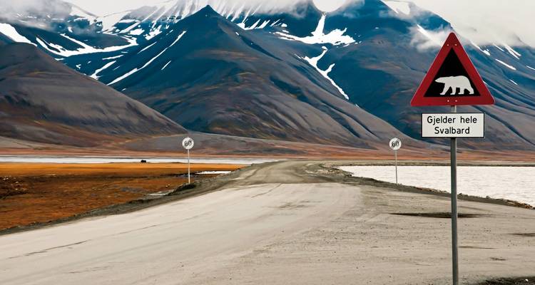 Vive Spitsbergen - DERTOUR 2