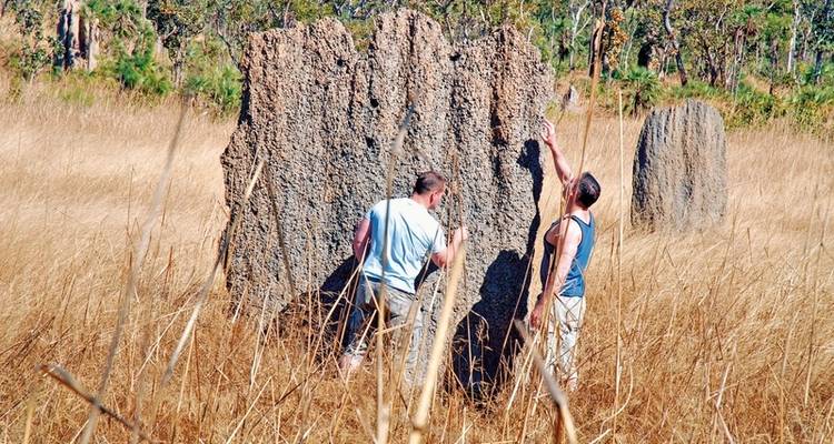 Kakadu on your own - DERTOUR 5