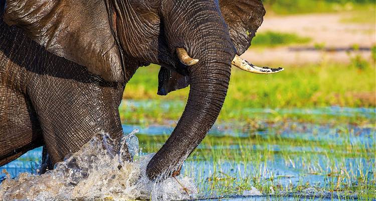Botswana, Zimbabwe, Namibia - Okavango - DERTOUR 8