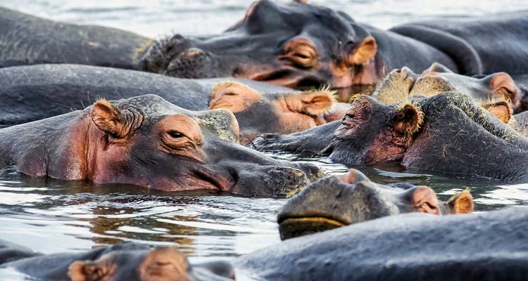 Botswana, Zimbabwe, Namibia - Okavango - DERTOUR 9