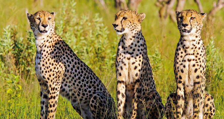 Botswana, Zimbabwe, Namibia - Okavango - DERTOUR 10
