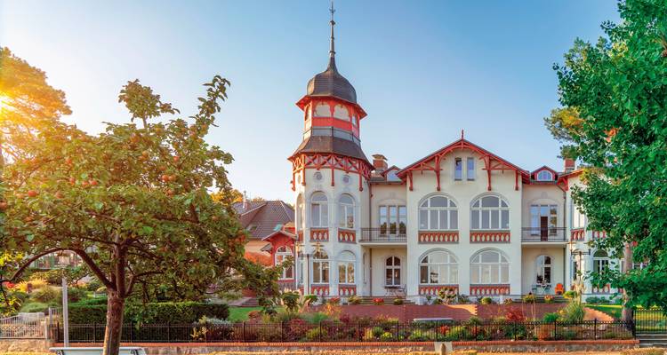 Un beau bâtiment ancien avec une architecture ornée entouré d'arbres.