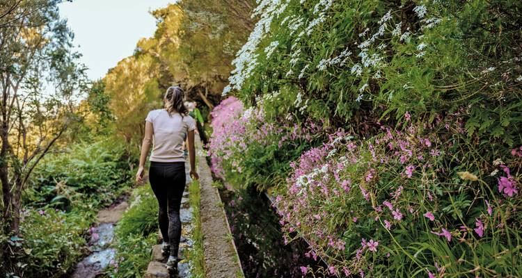 Eine Frau spaziert entlang eines engen Levada-Pfades, der von leuchtend rosa und weißen Wildblumen gesäumt wird.