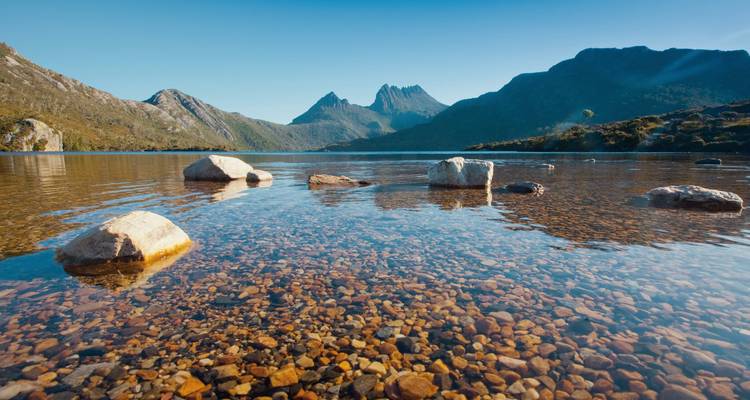 Cradle Mountain spiegelt sich in einem ruhigen See wider.