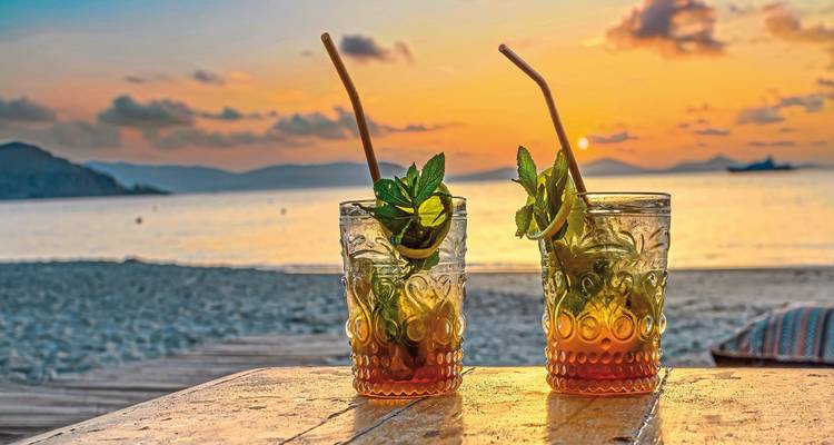 Reggae, Rum, and More - DERTOUR 8