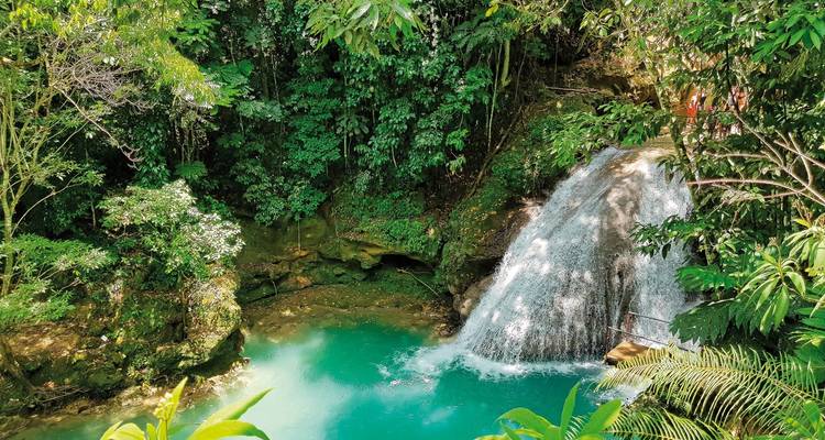 Waterfall in a lush green forest with a pool.