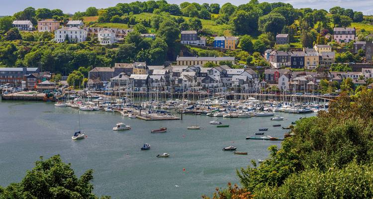Een haven met talrijke boten, omringd door een schilderachtig dorp.