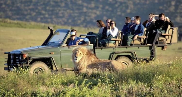 Multifaceted garden route (group tour) - DERTOUR 7