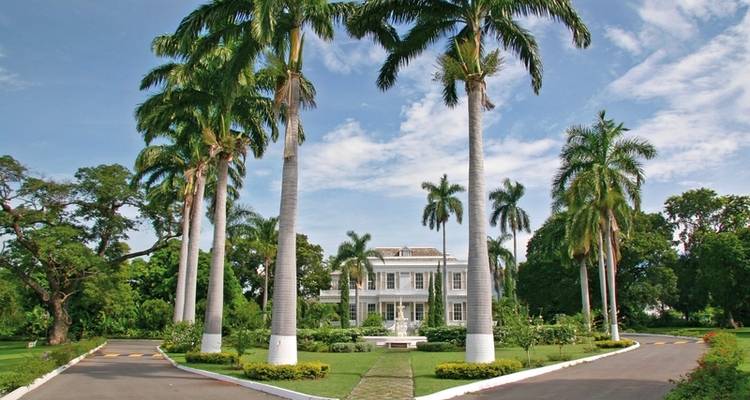 Jamaica Feeling - DERTOUR 8