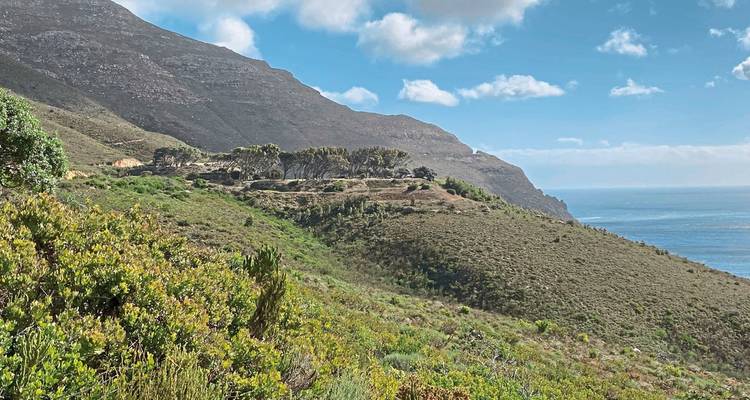 Hiking trail through a green landscape with ocean views.