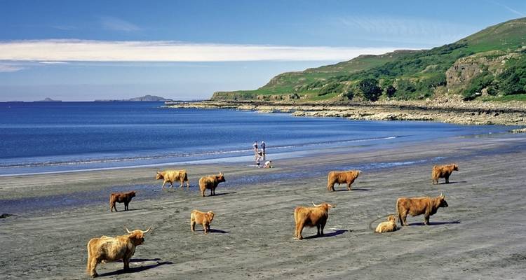 North Coast 500 - Scotland's Route 66 (12 nights) - DERTOUR 4