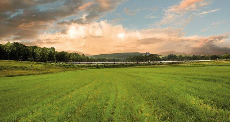Tren pasando por un campo verde bajo un cielo dramático.