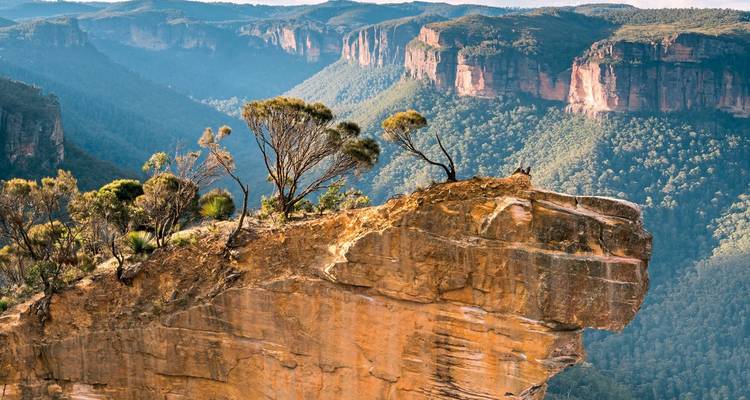 Uitzicht vanaf klif in de Blue Mountains met omliggende vergezichten.