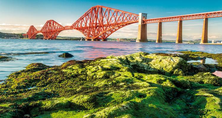 Le pont du Forth au-dessus d'un estuaire avec un premier plan vert.